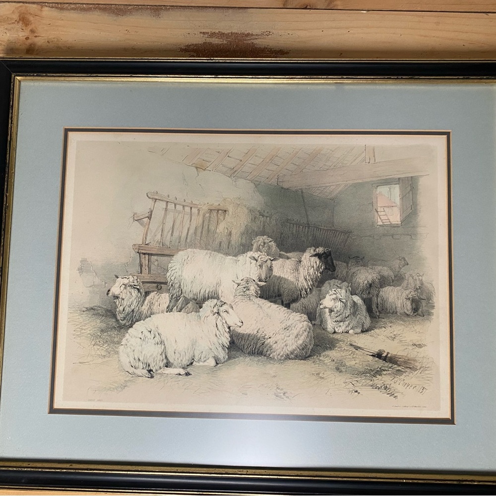 Cattle Subjects 19th c. lithograph + frame by Thomas Sidney Cooper